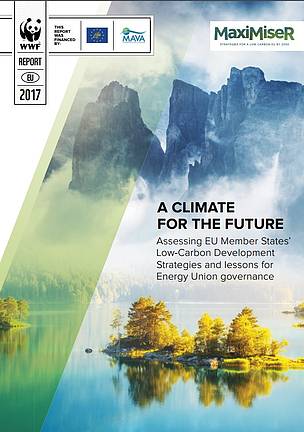 A climate for the future: assessing EU Member States’ low-carbon development strategies and lessons for Energy Union governance